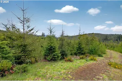 1 Parpala Rd, Naselle, WA 98638 - Photo 2