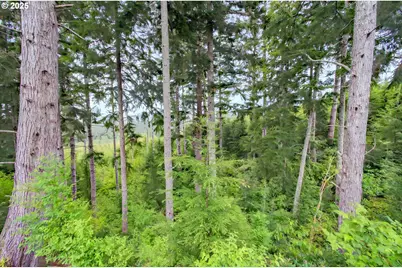 1 Parpala Rd, Naselle, WA 98638 - Photo 4