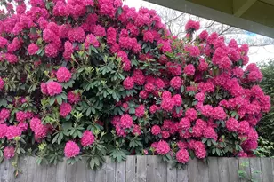 17706 SE Washington St, Portland, OR 97233 - Photo 22