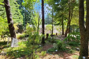 41998 Humbug Way, Port Orford, OR 97465 - Photo 30