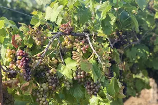 18047 SW Howlock Ave, Beaverton, OR 97007 - Photo 22