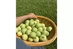 108 Pahatu St, North Bonneville, WA 98639 - Photo 46