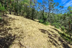 2263 Canyonville-Riddle Rd, Riddle, OR 97469 - Photo 36