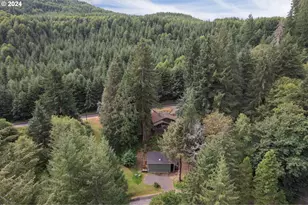 9904 Beach Dr, Birkenfeld, OR 97016 - Photo 4