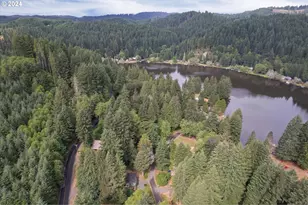 9904 Beach Dr, Birkenfeld, OR 97016 - Photo 4