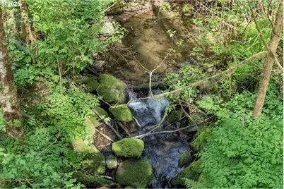 9904 Beach Dr, Birkenfeld, OR 97016 - Photo 48