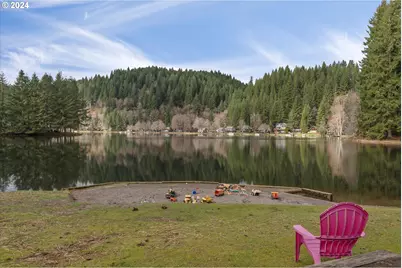 9904 Beach Dr, Birkenfeld, OR 97016 - Photo 40