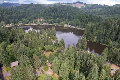 9904 Beach Dr, Birkenfeld, OR 97016 - Photo 34
