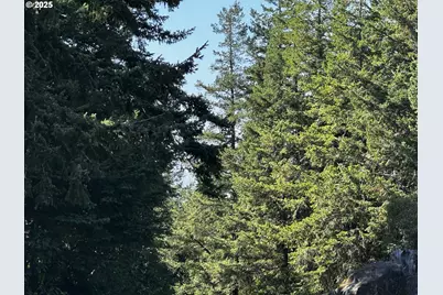 94515 Langlois Mountain Rd, Langlois, OR 97450 - Photo 4