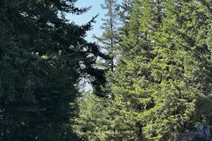 94515 Langlois Mountain Rd, Langlois, OR 97450 - Photo 4