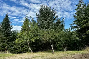 94515 Langlois Mountain Rd, Langlois, OR 97450 - Photo 6