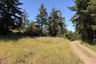 94515 Langlois Mountain Rd, Langlois, OR 97450 - Photo 46