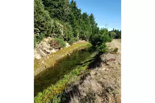86449 Croft Lake Ln, Bandon, OR 97411 - Photo 24