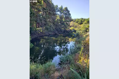 86449 Croft Lake Ln, Bandon, OR 97411 - Photo 24