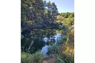 86449 Croft Lake Ln, Bandon, OR 97411 - Photo 24