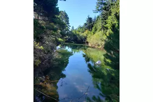 86449 Croft Lake Ln, Bandon, OR 97411 - Photo 22