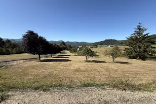95570 N Bank Rogue River Rd, Gold Beach, OR 97444 - Photo 4