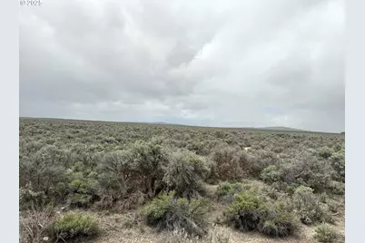 Fossil Lake Road #100, Christmas Valley, OR 97641 - Photo 12