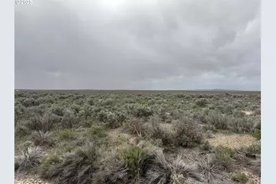 Fossil Lake Road #100, Christmas Valley, OR 97641 - Photo 1