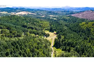 401 Decosta Ln, Oakland, OR 97462 - Photo 48