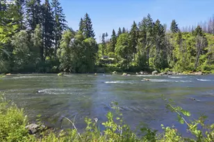 90357 Thomson Ln, Vida, OR 97488 - Photo 2
