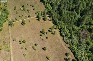 28285 Spencer Creek Rd, Eugene, OR 97405 - Photo 24