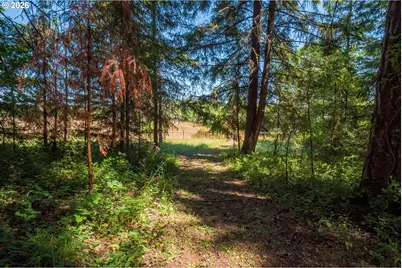 28285 Spencer Creek Rd, Eugene, OR 97405 - Photo 14