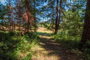 28285 Spencer Creek Rd, Eugene, OR 97405 - Photo 14