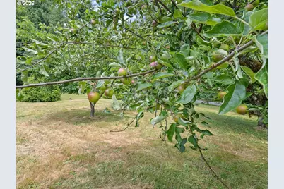 4154 Mt Brynion Rd, Kelso, WA 98626 - Photo 24