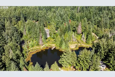 88600 Trout Pond Ln, Bandon, OR 97411 - Photo 4