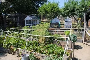 707 Harrison St, Wasco, OR 97065 - Photo 10