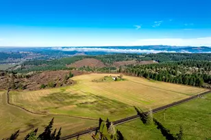 42172 Rodgers Mountain Loop, Scio, OR 97374 - Photo 8