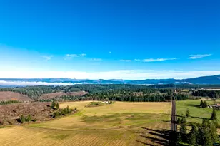 42172 Rodgers Mountain Loop, Scio, OR 97374 - Photo 46