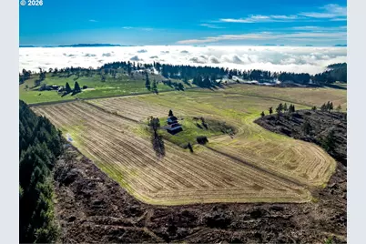 42172 Rodgers Mountain Loop, Scio, OR 97374 - Photo 14