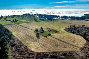 42172 Rodgers Mountain Loop, Scio, OR 97374 - Photo 14