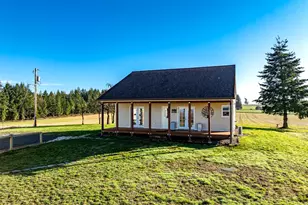 42172 Rodgers Mountain Loop, Scio, OR 97374 - Photo 12