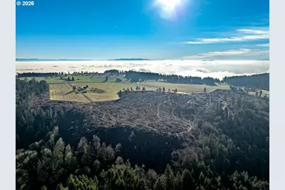 42172 Rodgers Mountain Loop, Scio, OR 97374 - Photo 16
