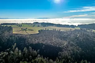 42172 Rodgers Mountain Loop, Scio, OR 97374 - Photo 16