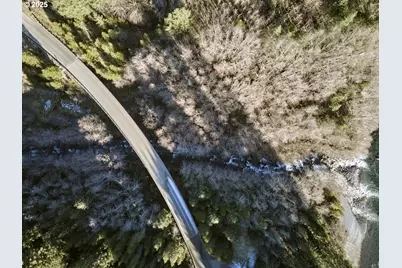 192 Sasquatch Way, Cougar, WA 98616 - Photo 42