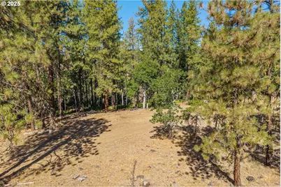 Nka Wilderness Loop Rd, Goldendale, WA 98620 - Photo 8