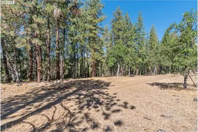 Nka Wilderness Loop Rd, Goldendale, WA 98620 - Photo 16