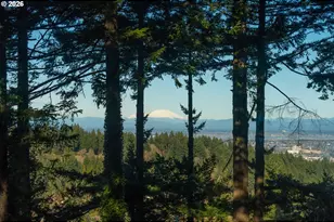 4183 SW Greenleaf Dr, Portland, OR 97221 - Photo 4