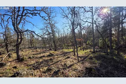 Lot 119, Goldendale, WA 98620 - Photo 4