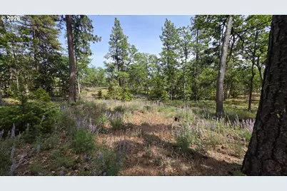 Juniper #Lot 119, Goldendale, WA 98620 - Photo 2