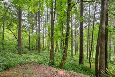 3078 Hendricks Hill Dr, Eugene, OR 97403 - Photo 46