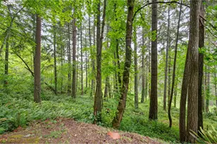 3078 Hendricks Hill Dr, Eugene, OR 97403 - Photo 46