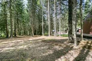 78234 Strawberry Ln, Weston, OR 97886 - Photo 40