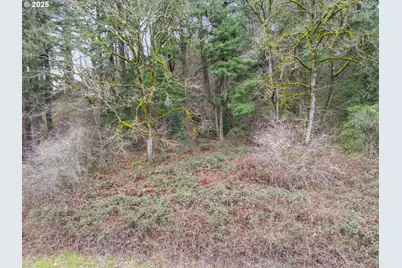0 57th St, Washougal, WA 98671 - Photo 10