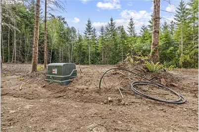 232 Durins Pl, Castle Rock, WA 98611 - Photo 8