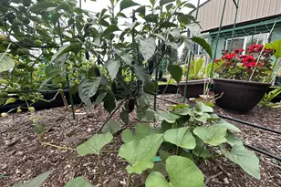 94475 Golf Course Ln, North Bend, OR 97459 - Photo 10